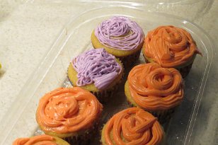 IMG_4258 Frosted Cupcakes