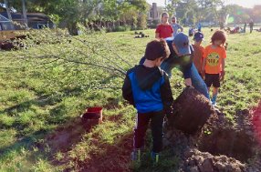 IMG_7555 planting a live oak, Exploration Green, Houston, TX