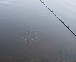 IMG_7127