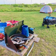 IMG_0784 more Bacon, Galveston Island State Park, TX