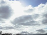 SF2001-d030.JPG