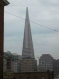 SF2001-f001.JPG