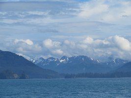 IMG_1879.jpg