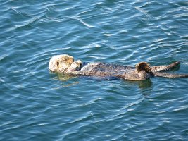 IMG_1921.jpg