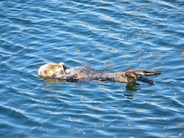 IMG_1937.jpg