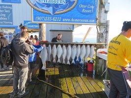 IMG_1939.jpg