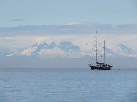 IMG_8336.jpg