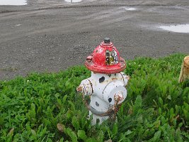 IMG 8342  Dalmatian Fire Hydrant, Seldovia, AK