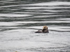 IMG_8380.jpg