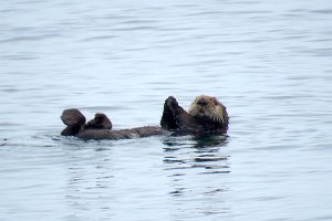 IMG_8397.jpg