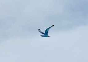 IMG_8406.jpg