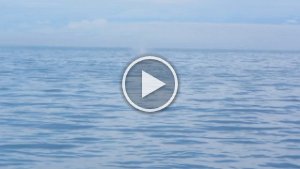 MVI_1764.mp4