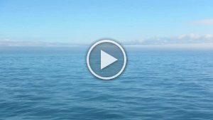 MVI_1774.mp4