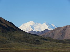 IMG 6206  Denali, Denali Park Road, Denali National Park