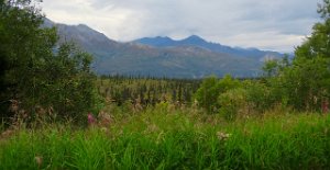 IMG 7055  View from Glenn Highway, Palmer, AK