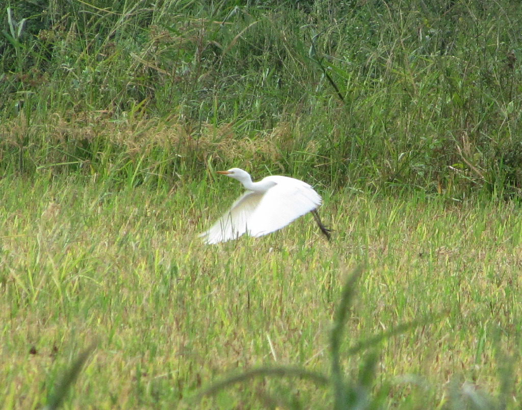 IMG_7860.JPG