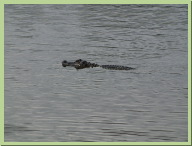 IMG_7852.JPG