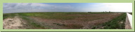 AnNWR-Drought-SouthOyster.jpg
