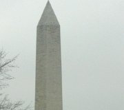 IMG_0773.jpg