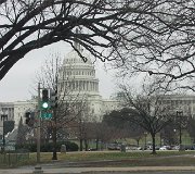 IMG_0779.jpg