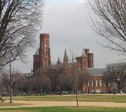 IMG_0806.jpg