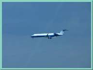 IMG_4902.JPG