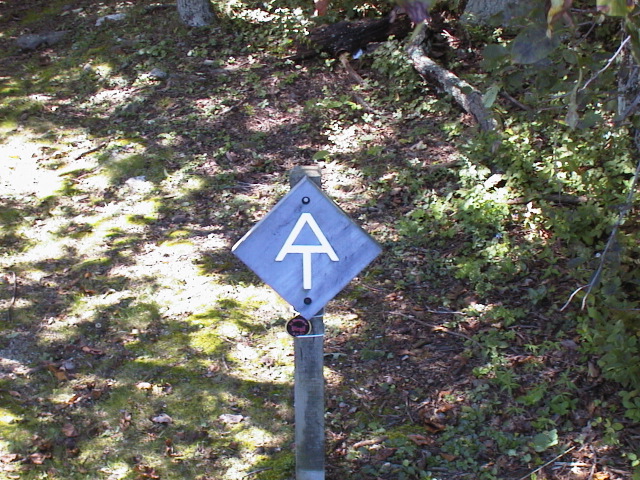 aut_5640.jpg