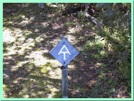 AUT_5640.JPG