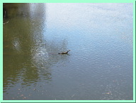 AUT_5708.JPG