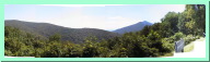 HeadforemostMtnView.jpg