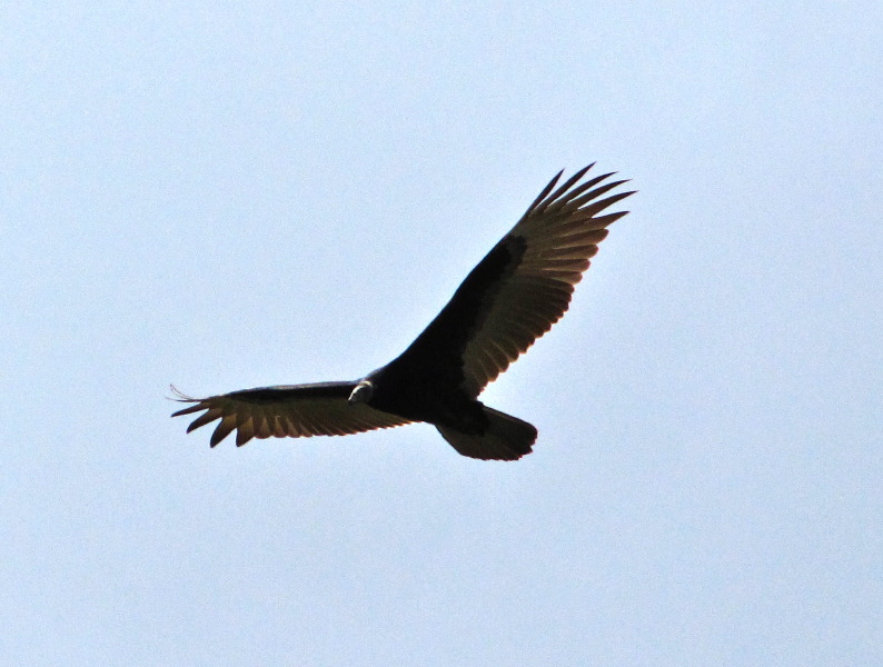 IMG_0160.JPG