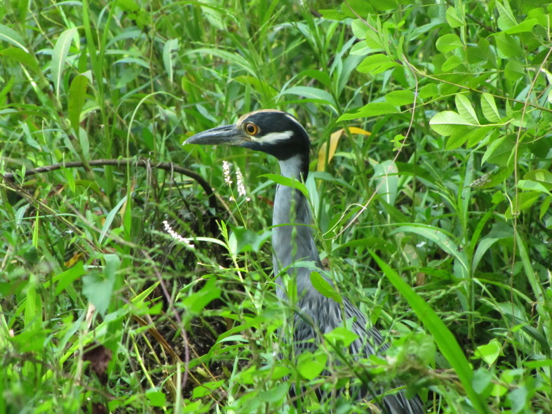 IMG_0305.JPG