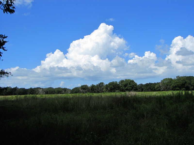 IMG_4606.JPG