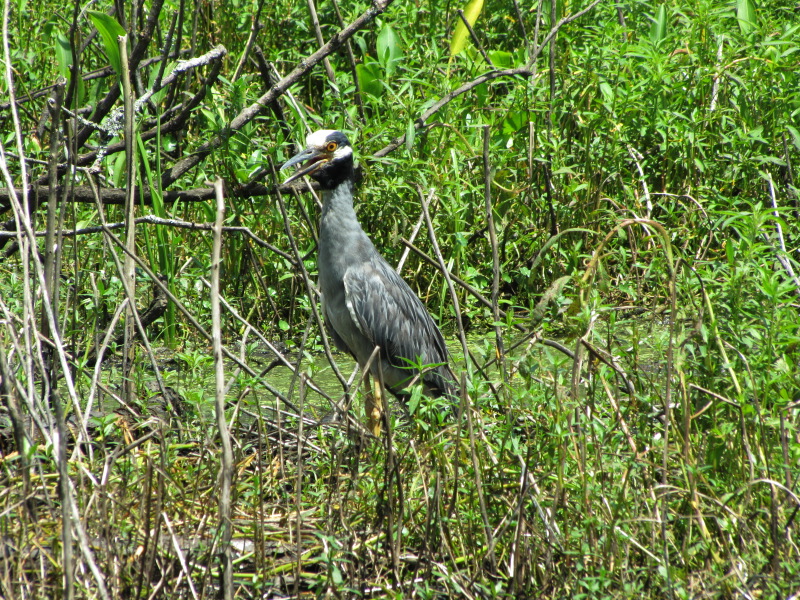 IMG_4639.JPG