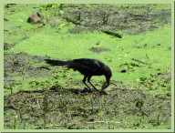 IMG_4653.JPG