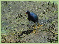 IMG_4664.JPG