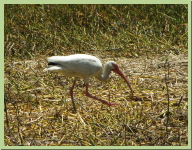 IMG_4677.JPG