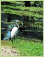 IMG_4724.jpg