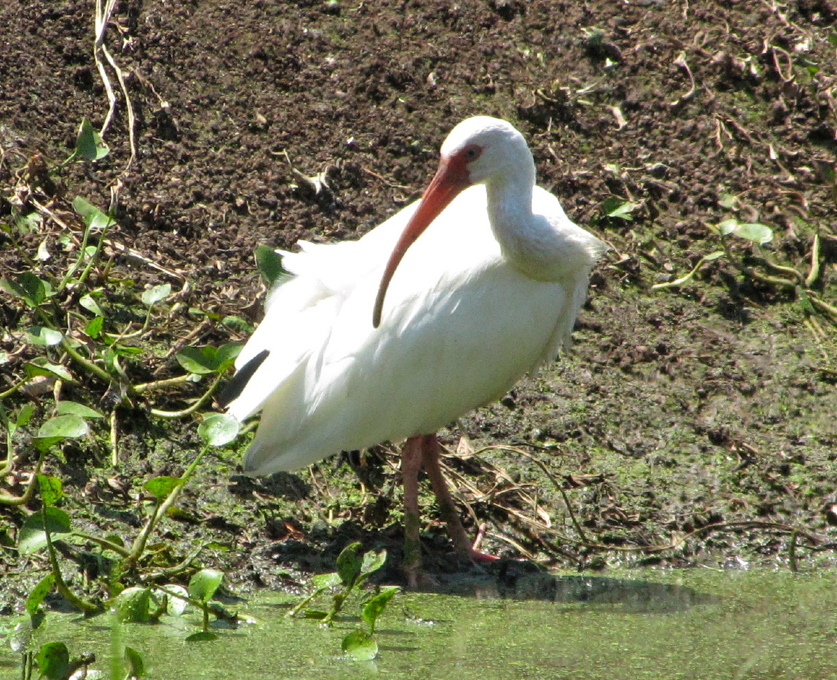 IMG_7403.JPG