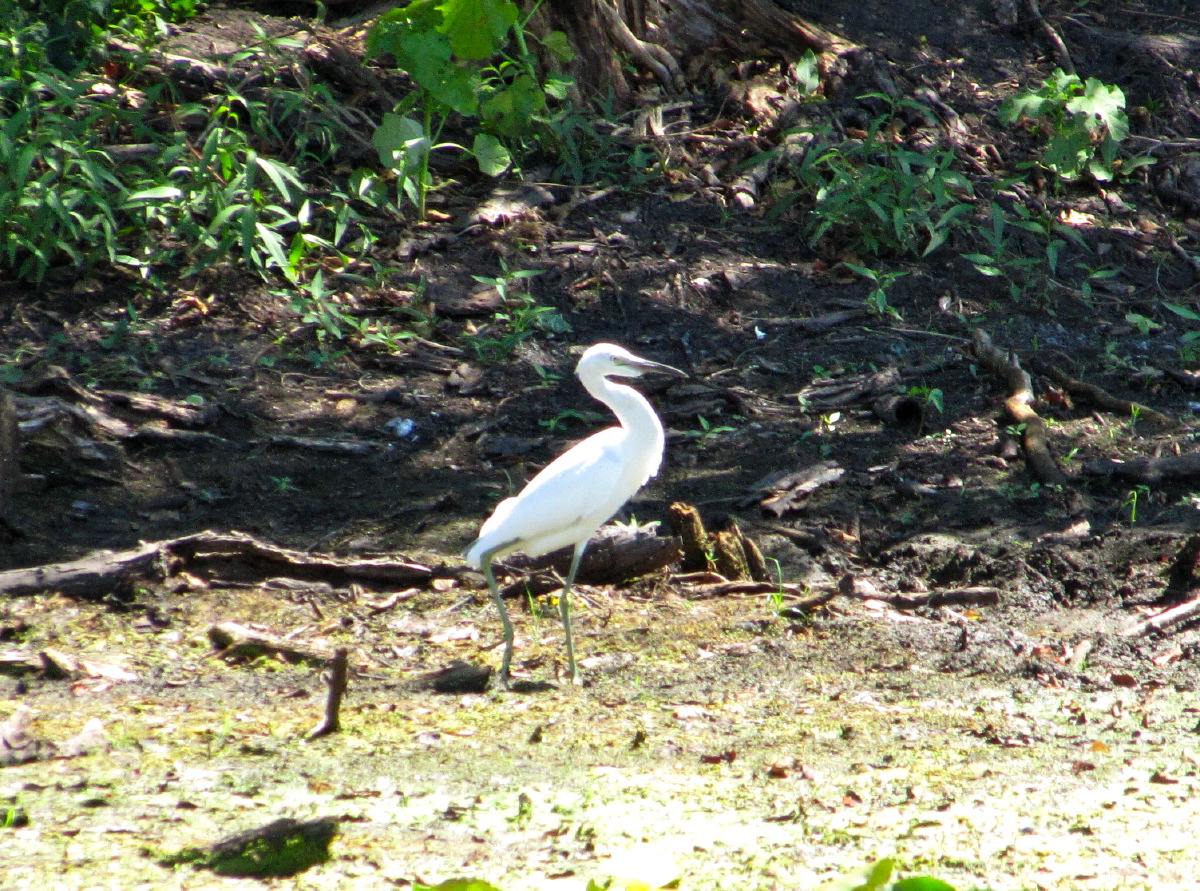 IMG_7557.JPG