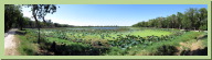 40AcreLake3.jpg
