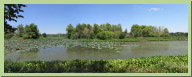 ElmLake2BBSP.jpg