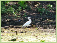 IMG_7557.JPG