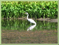 IMG_7631.JPG