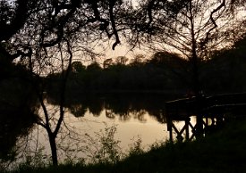 IMG_9146 Hale Lake, Brazos Bend State Park, TX