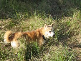 IMG_1279 Hunter, Brazos Bend State Park