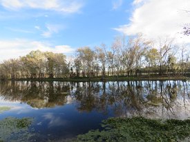 IMG_1293 40 Acre Lake, Brazos Bend State Park