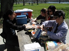 IMG_3877 Picnic