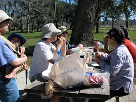 IMG_8592 Picnic