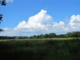 IMG_4606